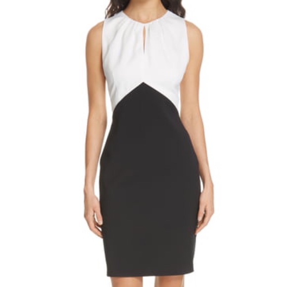 ted baker zamelid dress